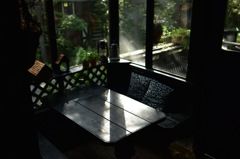 Thru the Window