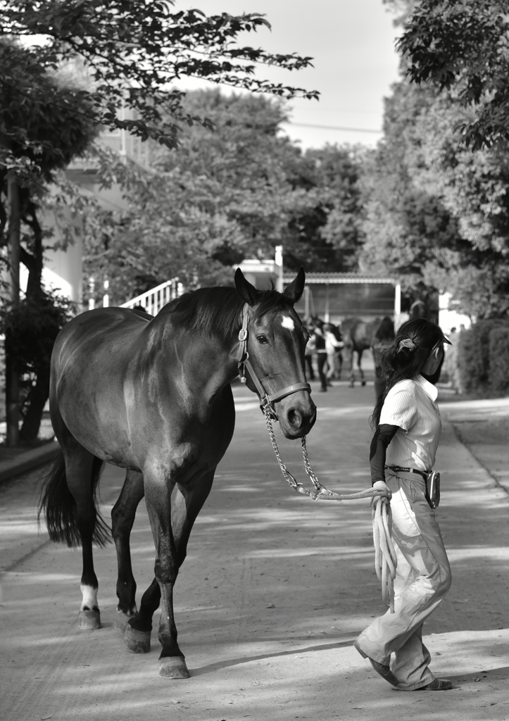 Walk