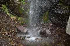 Aqua Drops