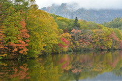 Autumn Snap