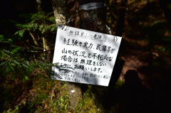 Autumn Snap