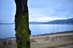 Suwa Lake