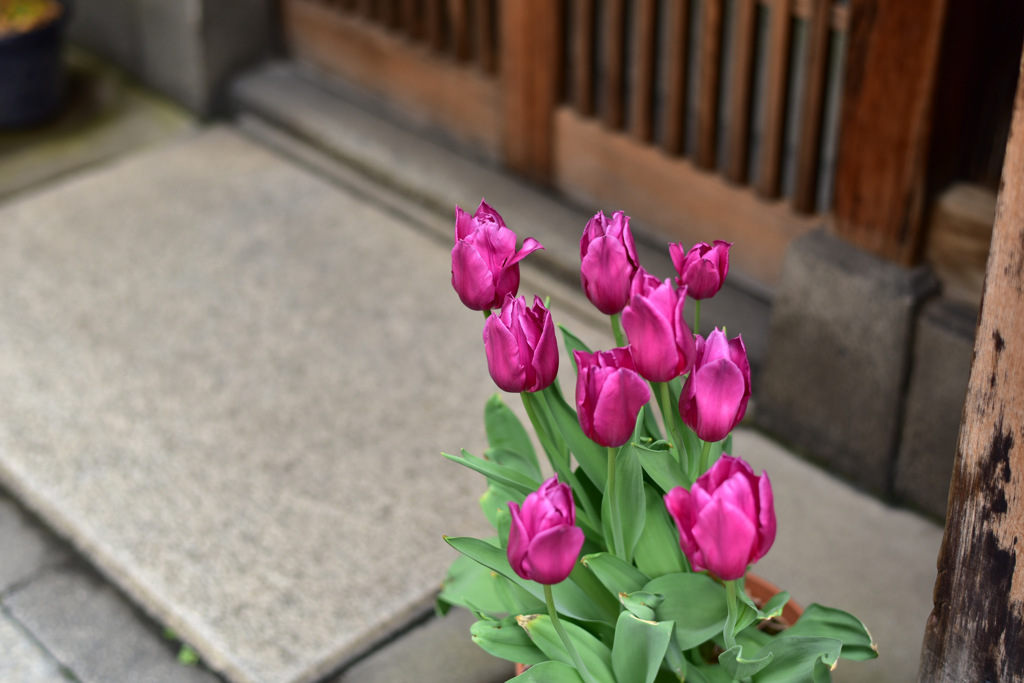 門