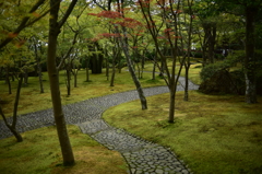 箱根の庭