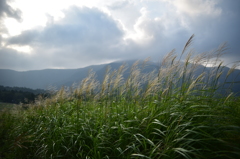 仙石原