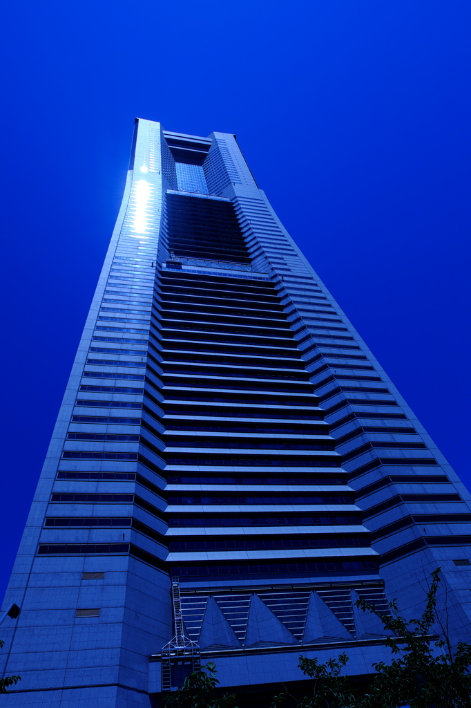 青い巨塔