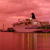 YOKOHAMA MAGENTA