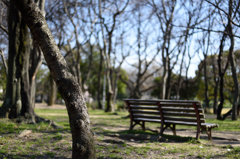 公園のベンチ２