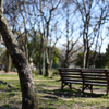 公園のベンチ２