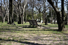 公園のベンチ１