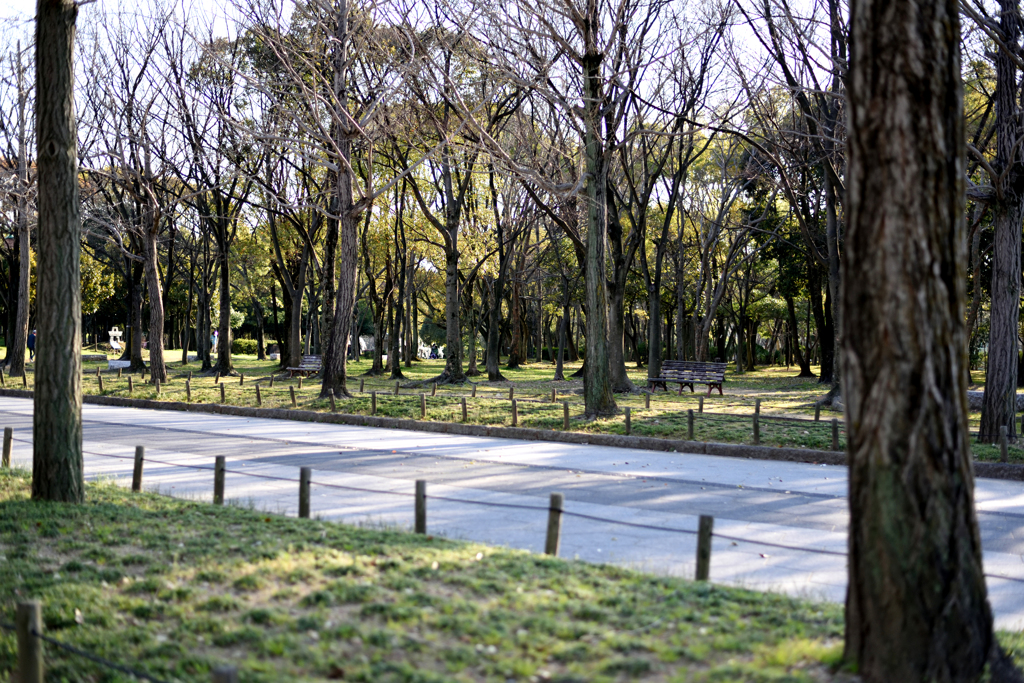 公園のベンチ４