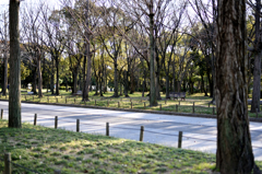 公園のベンチ４