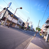 この道の先には