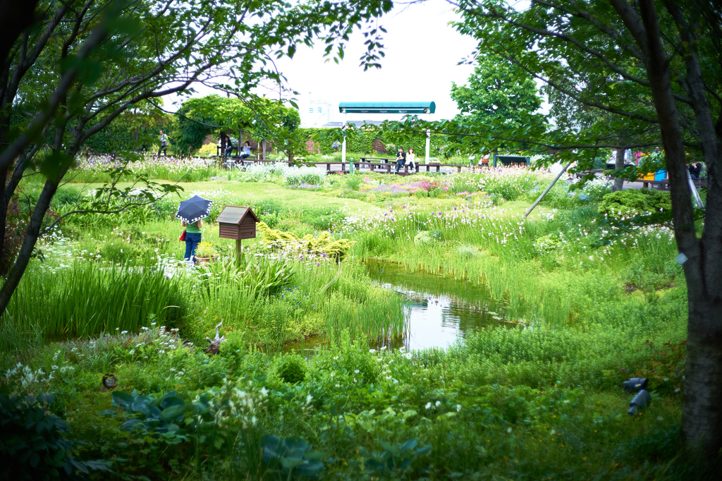 緑の公園