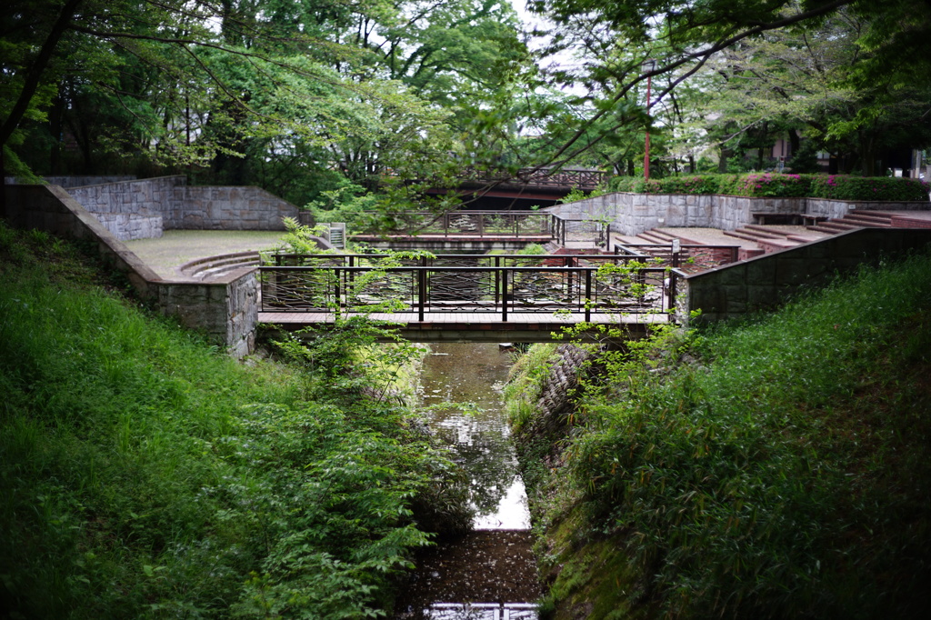 自然の中の橋