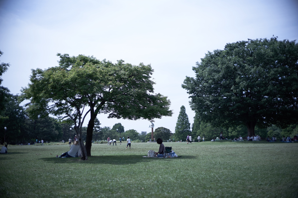 昔遊んだあの光景