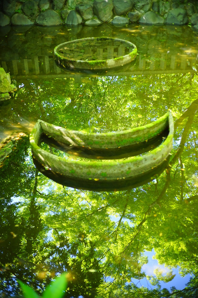 リアルより水面の映り込み