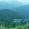 田棚
