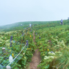 山道はどこまでも