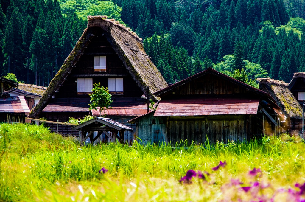 白川郷