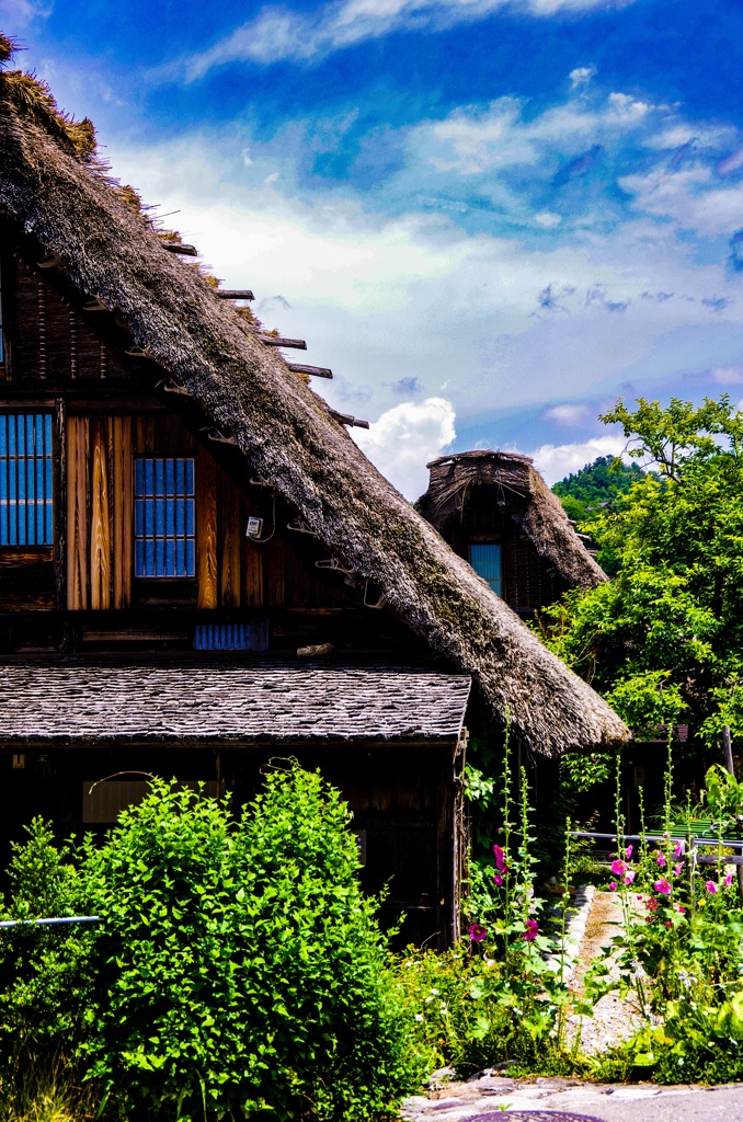 白川村