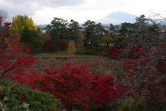 弘前公園から岩木山を望む