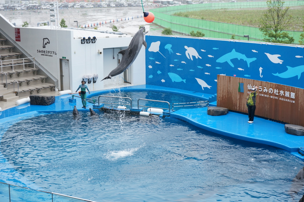 ハイジャンプ