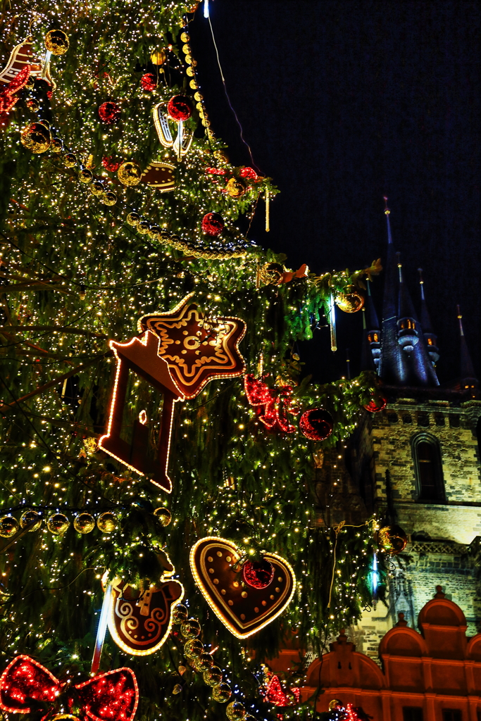 Christmas Market in Praha #4