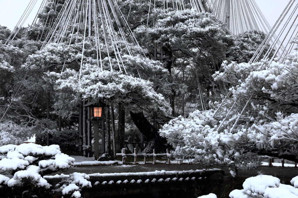 加賀 兼六園 壱