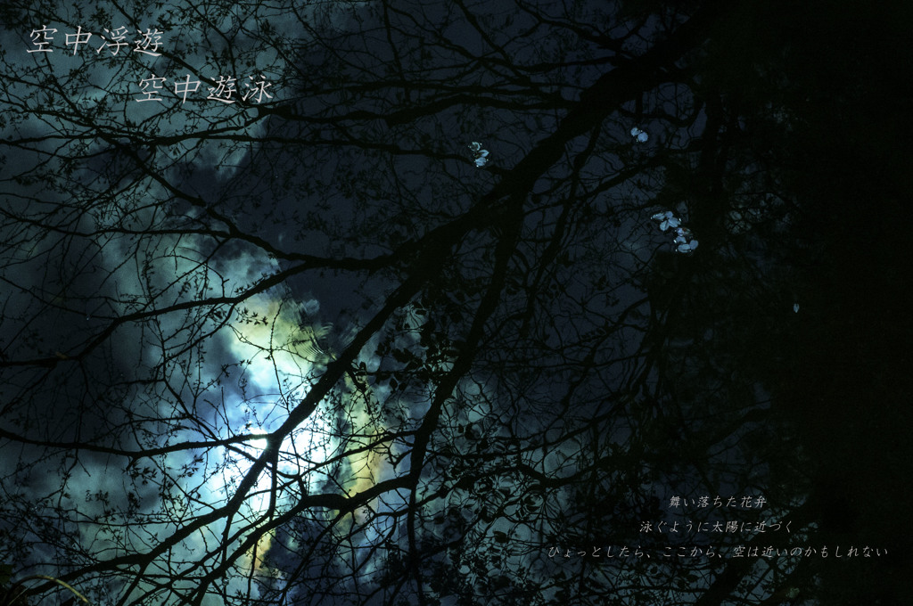 空中
