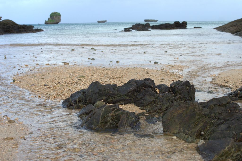 海