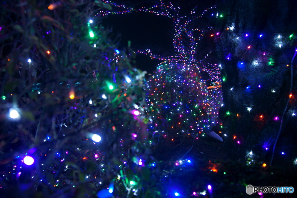 よみうりランド