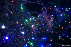 よみうりランド