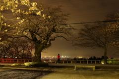 夜景撮影