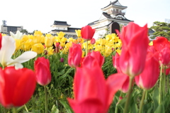 富山城