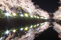 水面に映る夜桜