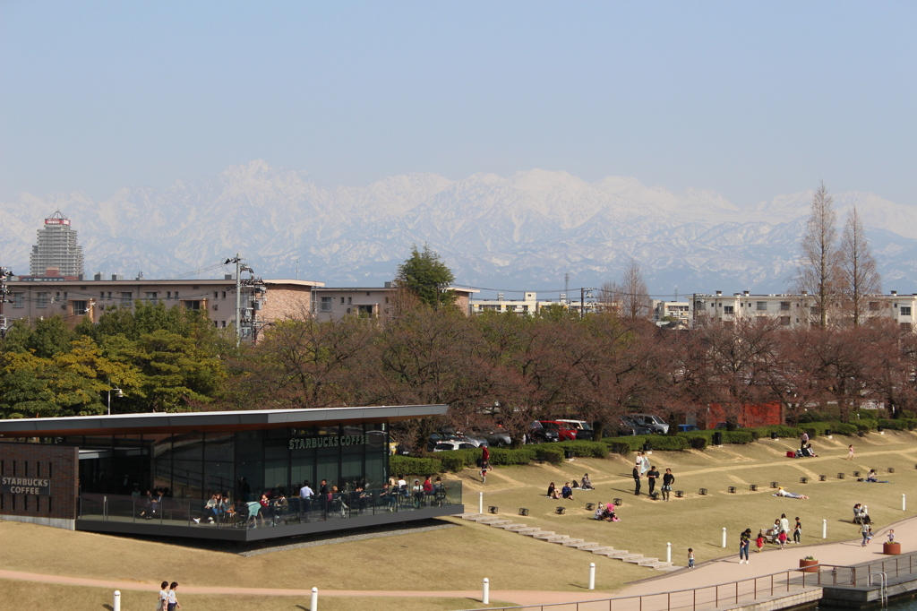 春の環水公園
