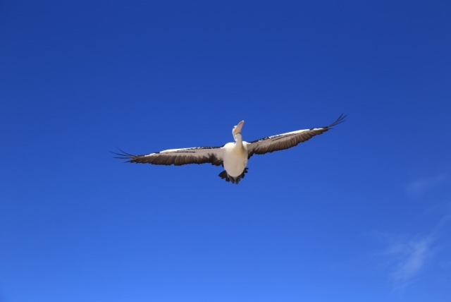 大空へ向かって