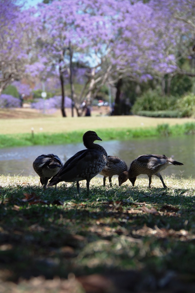 春の公園で