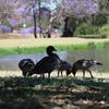 春の公園で