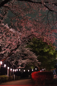 ISO25600の世界