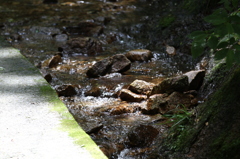 透き通る小川