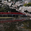 岩槻城址公園　桜と八つ橋