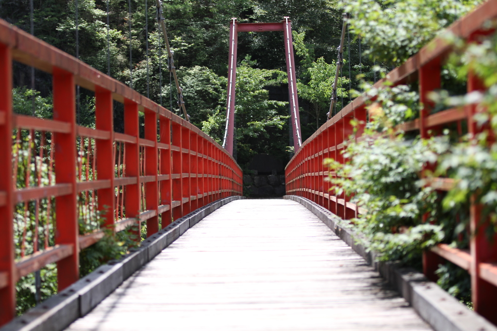 初夏のあゆつり橋