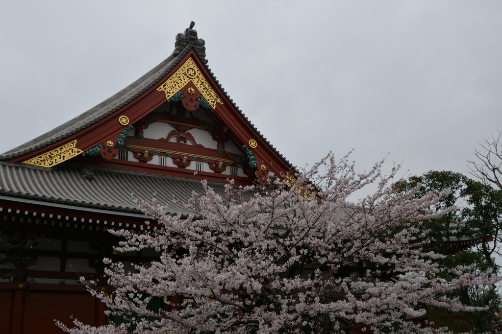 浅草寺