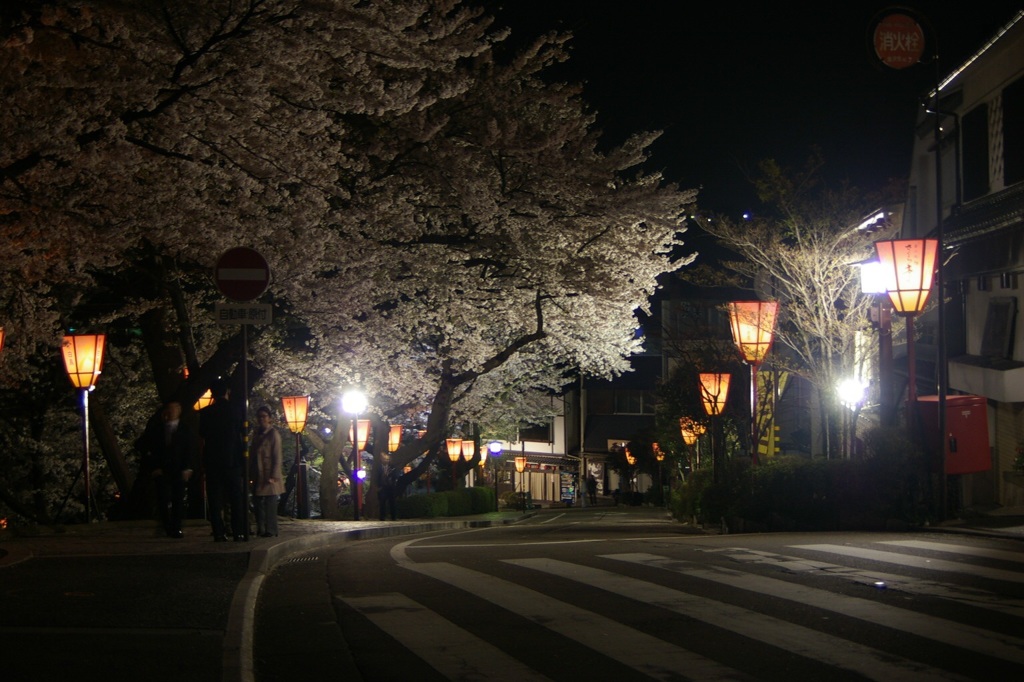 桜舞い散る中に忘れた記憶と〜