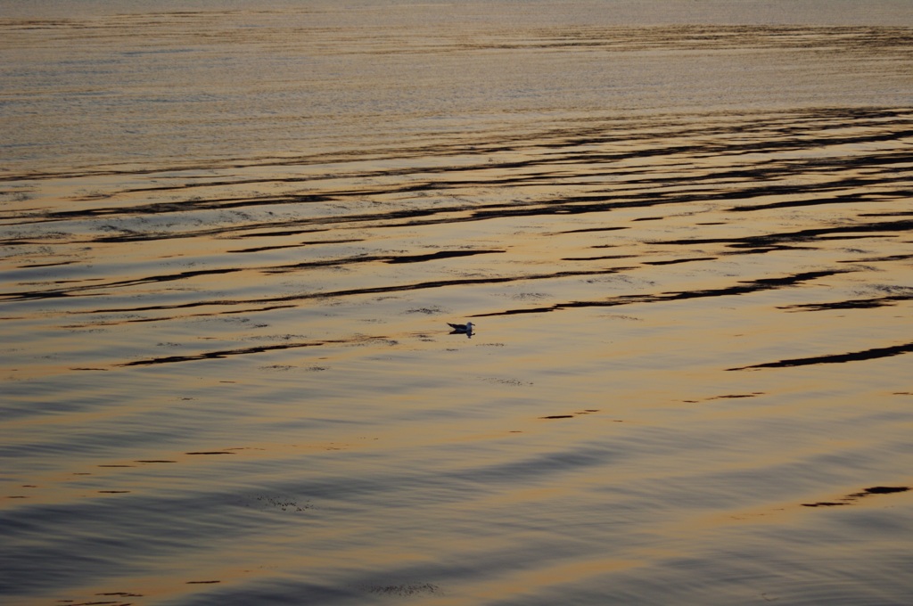 春の海辺