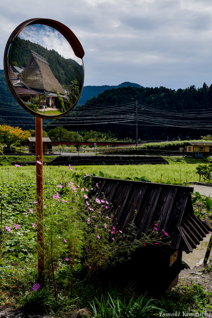 里山の秋