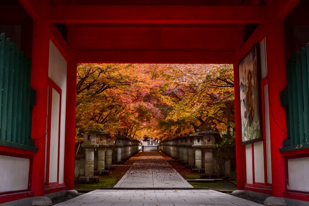 丹波・高山寺