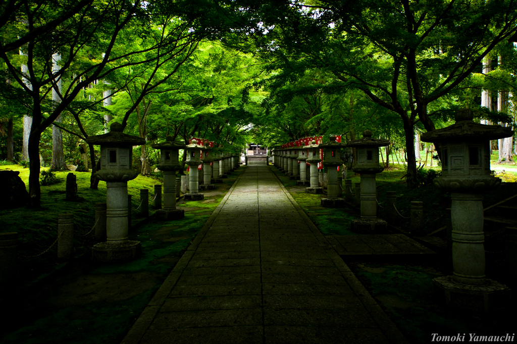 秋はもうすぐ（高山寺）